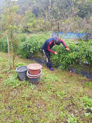 정석구님의 자유주제 · 자유게시판 작성글 사진