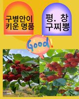 팜모닝 · 게시글 이미지