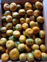 팜모닝 · 게시글 이미지