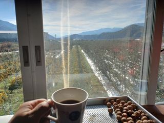 알 수 없음님의 자유주제 · 자유게시판 작성글 사진