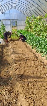 팜모닝 기타작물·영농일지 게시글 이미지