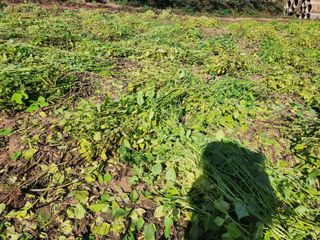 김영옥님의 자유주제 · 자유게시판 작성글 사진