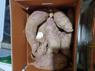 문막왕건로아침도시님의 고구마 · 자유게시판 작성글 사진