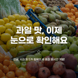 팜모닝 귤·일상 게시글 이미지