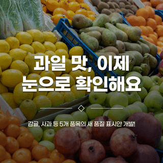 팜모닝 농사도우미님의 귤 · 일상 작성글 사진