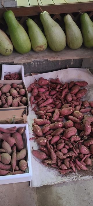 권오정 (천지산)님의 자유주제 · 자유게시판 작성글 사진