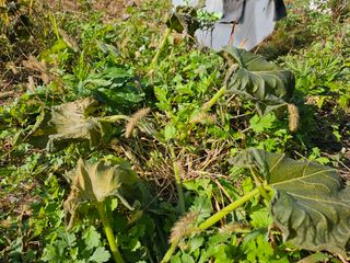 김윤숙님의 자유주제 · 자유게시판 작성글 사진