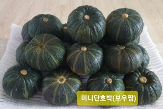 김중언님의 요즘 뜨는 신품종은? 💬 · 참여글 작성글 사진