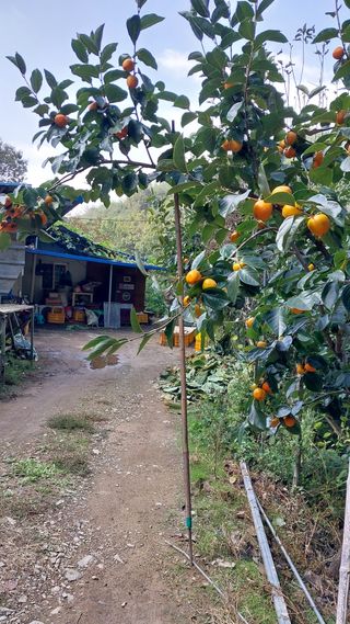 손경식님의 작성글 사진