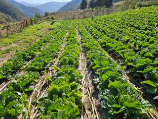 알 수 없음님의 자유주제 · 자유게시판 작성글 사진