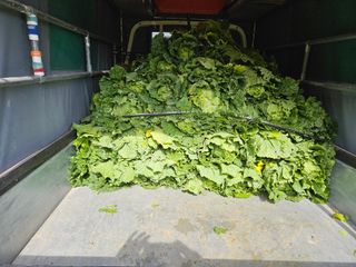 알 수 없음님의 자유주제 · 자유게시판 작성글 사진