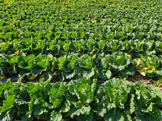 알 수 없음님의 자유주제 · 자유게시판 작성글 사진