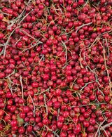 팜모닝 · 게시글 이미지