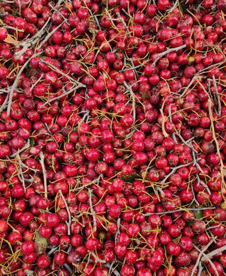 모든 보일러 설비님의 작성글 사진