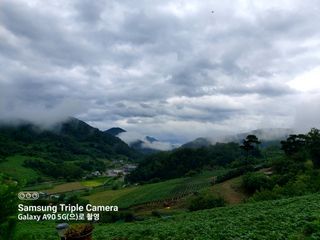 윤용탁님의 참깨 · 자유게시판 작성글 사진