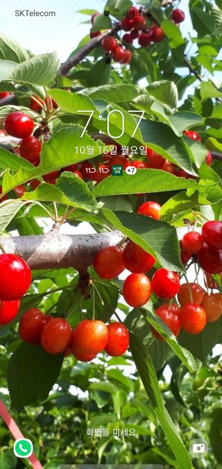 윤현식 님의 요즘 뜨는 신품종은? 💬 · 참여글 작성글 사진