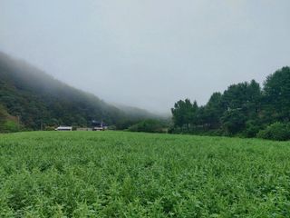 홍순원님의 작성글 사진