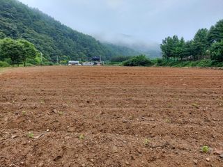 홍순원님의 작성글 사진