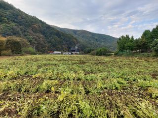 홍순원님의 작성글 사진