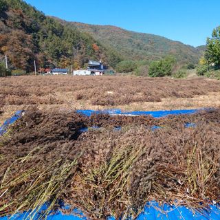 홍순원님의 작성글 사진