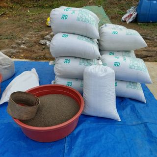 홍순원님의 작성글 사진