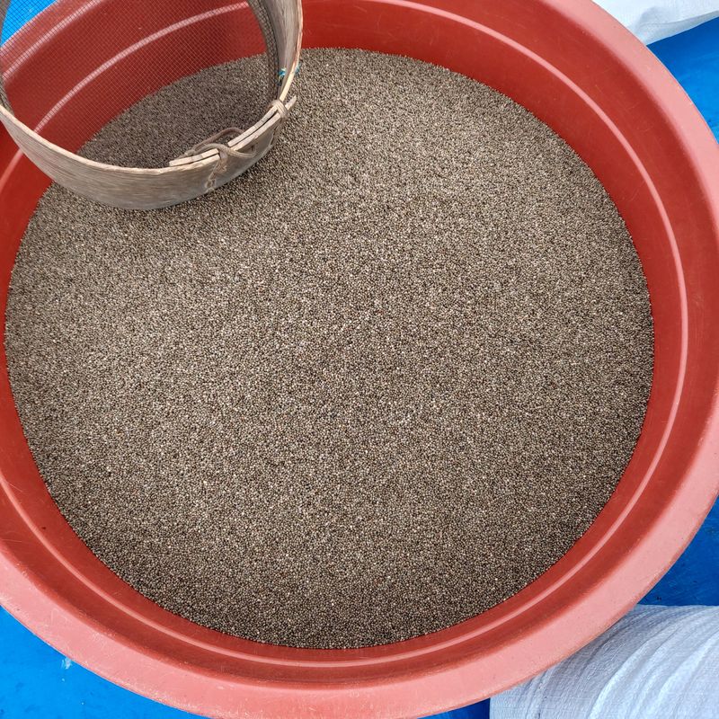 홍순원님의 장터 판매 상품 [들깨 6kg 완판되었습니다] 첨부 사진