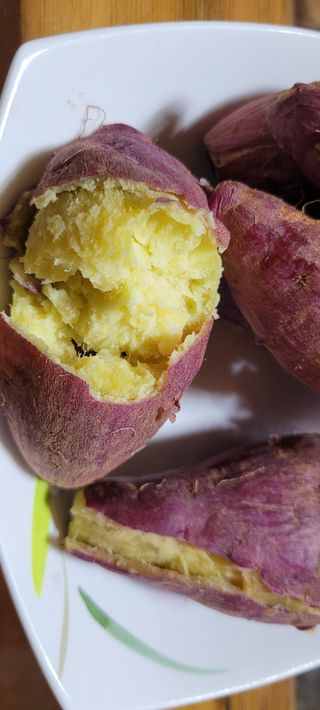 이동훈님의 고구마 · 자유게시판 작성글 사진