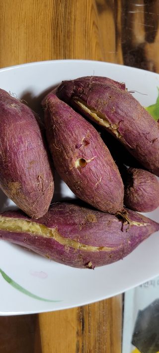 이동훈님의 고구마 · 자유게시판 작성글 사진