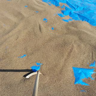 박수연님의 기타작물 · 자유게시판 작성글 사진