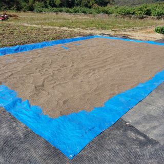 박수연님의 기타작물 · 자유게시판 작성글 사진