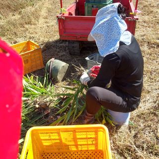 박수연님의 기타작물 · 자유게시판 작성글 사진
