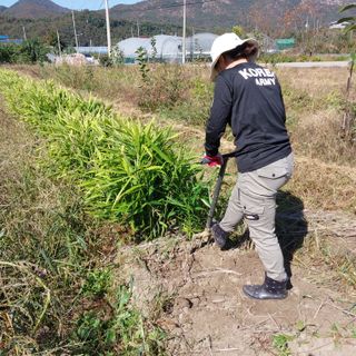 박수연님의 기타작물 · 자유게시판 작성글 사진