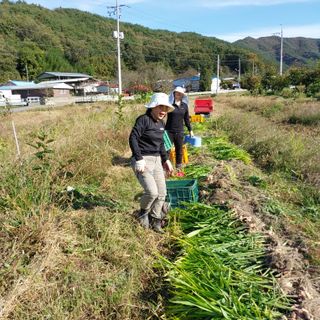박수연님의 기타작물 · 자유게시판 작성글 사진