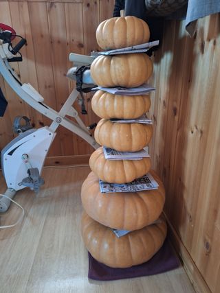 욕심내지말자님의 복숭아 · 자유게시판 작성글 사진