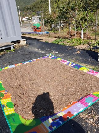 동강님의 기타작물 · 영농일지 작성글 사진