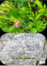 팜모닝 자유주제·자유게시판 게시글 이미지