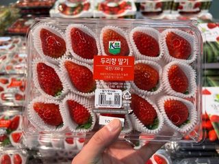 박성호님의 딸기 · 품종•종자 작성글 사진