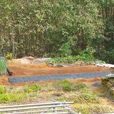 팜모닝 마늘·영농일지 게시글 이미지