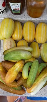 팜모닝 매실·자유게시판 게시글 이미지