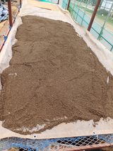 팜모닝 들깨·자유게시판 게시글 이미지