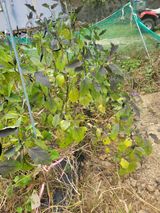 팜모닝 자유주제·자유게시판 게시글 이미지