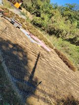 팜모닝 들깨·영농일지 게시글 이미지