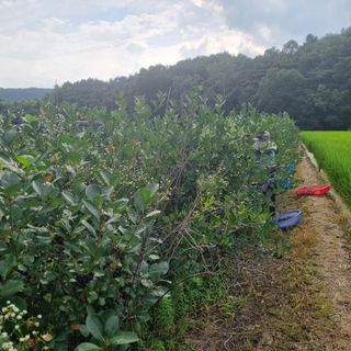 모두팜님의 작성글 사진