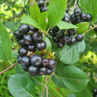 모두팜님의 작성글 사진