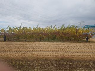 이형규님의 작성글 사진