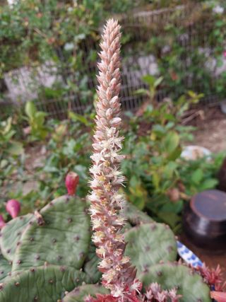 금동이네님의 자유주제 · 자유게시판 작성글 사진