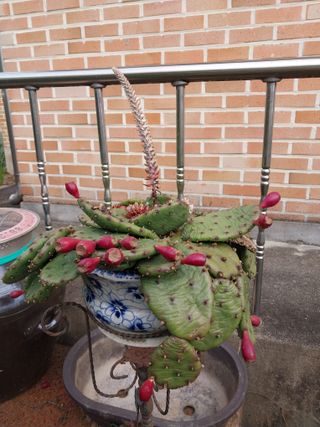 금동이네님의 자유주제 · 자유게시판 작성글 사진