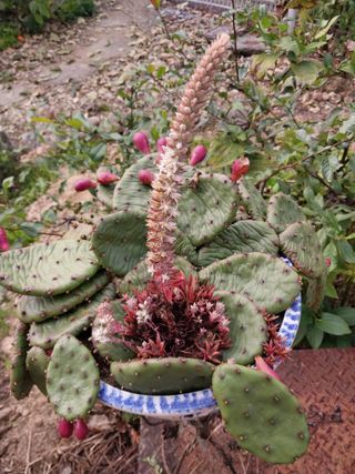 금동이네님의 자유주제 · 자유게시판 작성글 사진