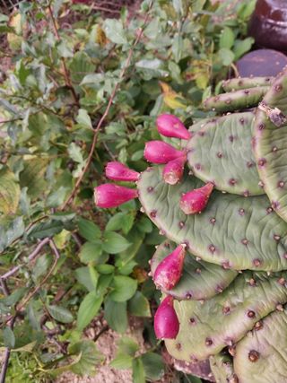 금동이네님의 자유주제 · 자유게시판 작성글 사진