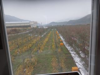 오임돈님의 우리동네 · 동네수다 작성글 사진